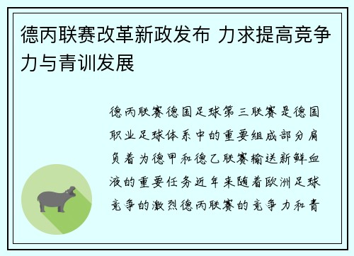 德丙联赛改革新政发布 力求提高竞争力与青训发展